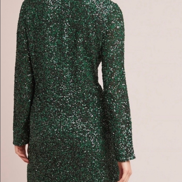 Sz 4 Varun Bahl Green Seqin Dress w/Appliqué NWT Anthropologie - Picture 2 of 16